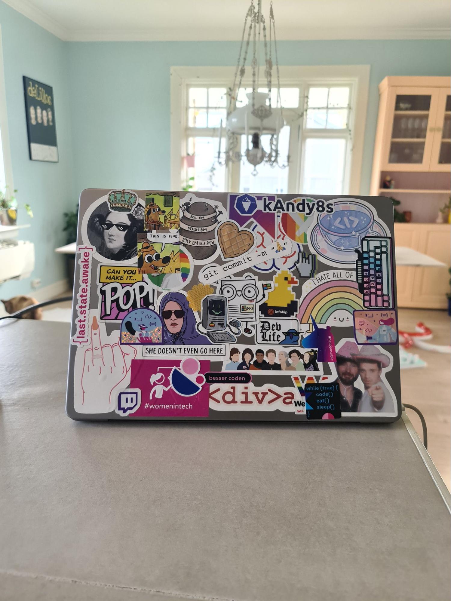 Laptop med stickers
